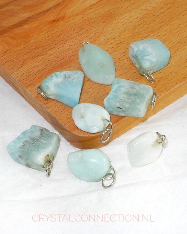 hemimorfiet-hanger-klein Hemimorfiet hanger