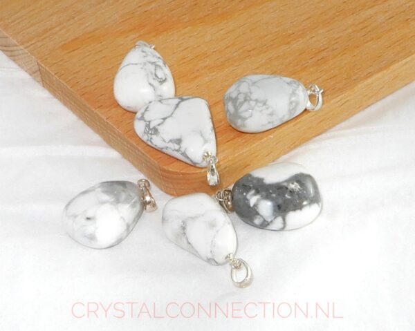 howliet-hanger-zilv-oogje Howliet hanger