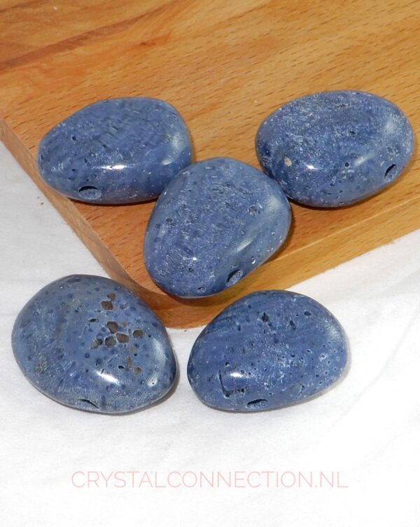 koraal-blauw-doorboorde-hanger Koraal blauw doorboorde hanger