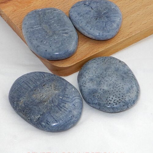 koraal-blauw-schijfsteen Koraal blauw schijfsteen