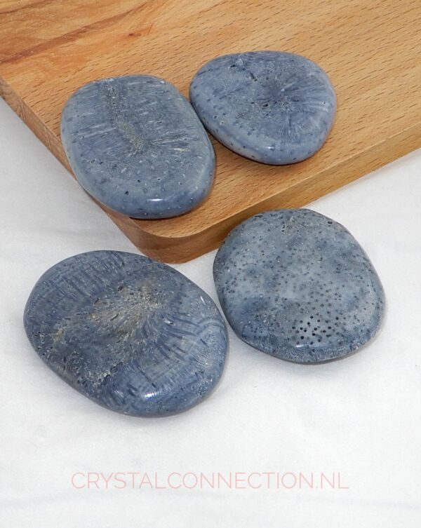 koraal-blauw-schijfsteen Koraal blauw schijfsteen