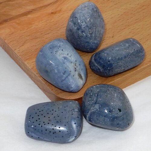 koraal-blauw-trommelsteen Koraal blauw trommelsteen