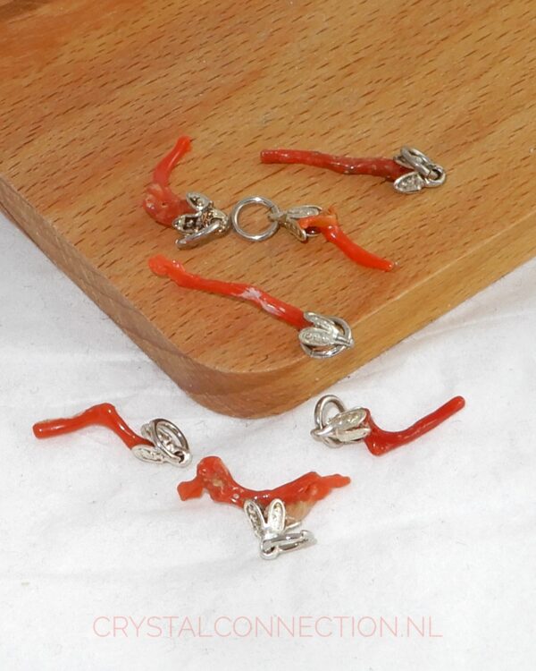 koraal-bloed-hanger Agaatkoraal hanger