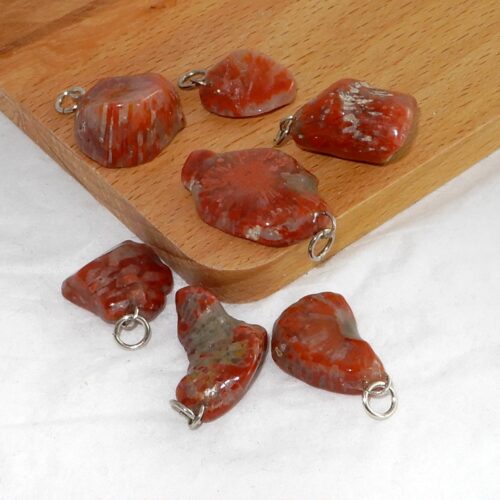 koraal-hoorn-hanger Hoornkoraal hanger