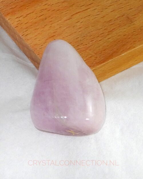 Kunziet doorboorde hanger