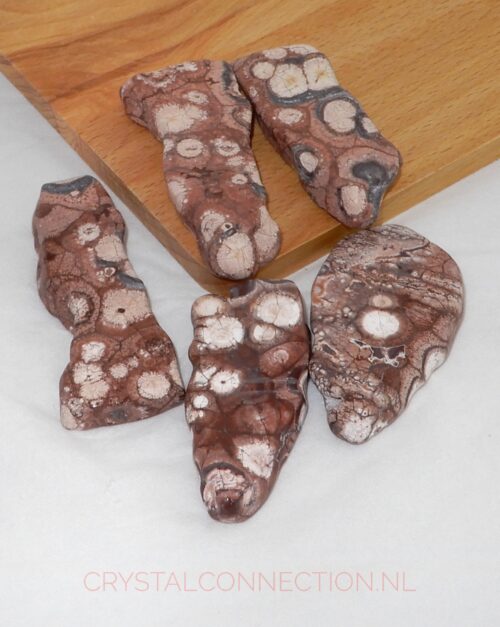 Laguna-agaat trommelsteen