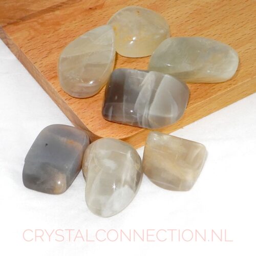 maansteen-grijs-trommelsteen Maansteen trommelsteen