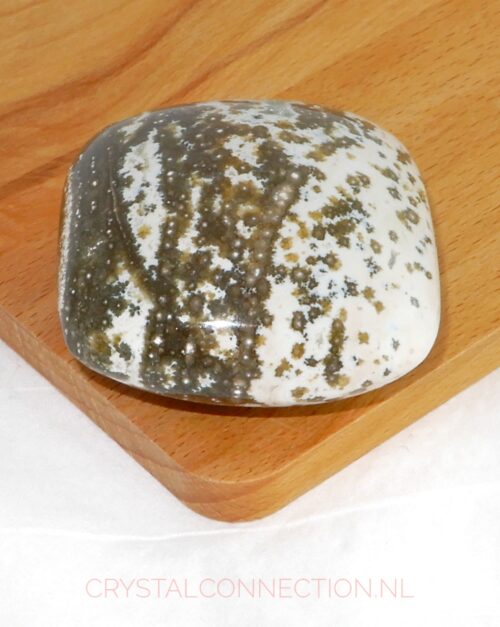 Oceaan jaspis kussensteen