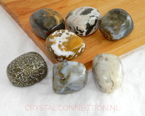 Oceaan jaspis trommelsteen