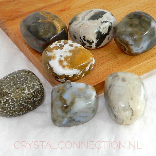 oceaan-jaspis-trommelsteen-10-20g Oceaan jaspis trommelsteen