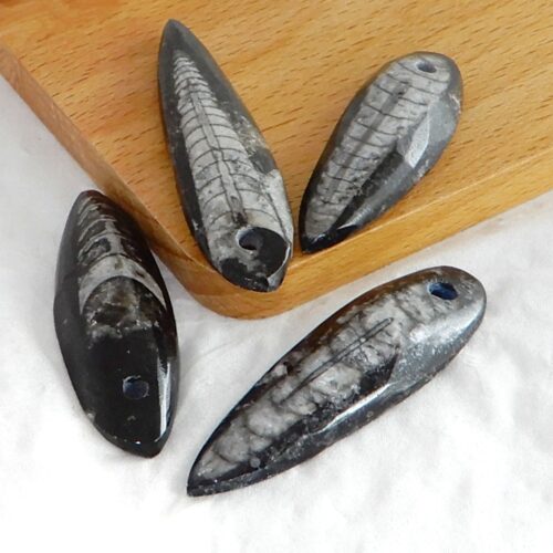 ortheceras-doorboorde-hanger Orthoceras doorboorde hanger