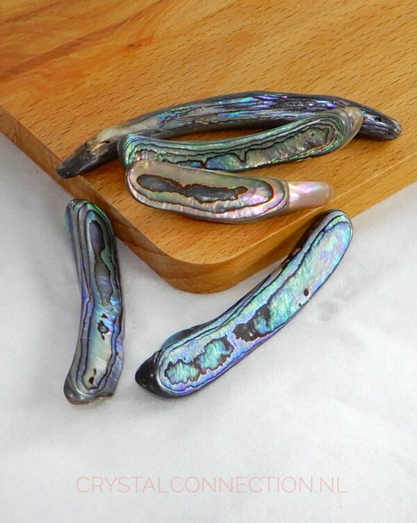 paua-schelp-middel Paua schelp stukje