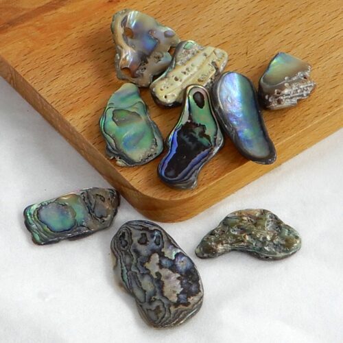 paua-schelp-stukjes-klein Paua schelp stukje