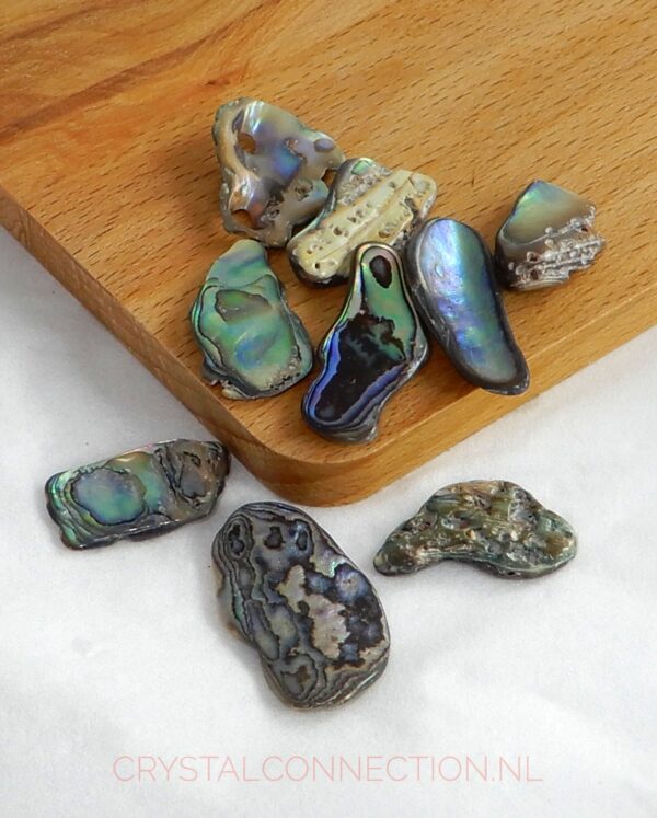 paua-schelp-stukjes-klein Paua schelp stukje