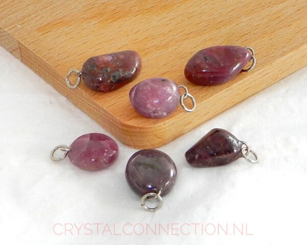 robijn-hanger-getrommeld-1 Robijn hanger