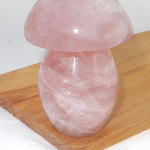 rozekwarts-paddenstoel-no1-staand-58.00 Rozekwarts paddenstoel