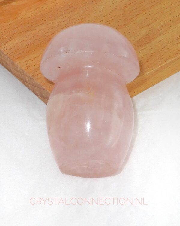 rozekwarts-paddenstoel-no2-12.50 Rozekwarts paddenstoel