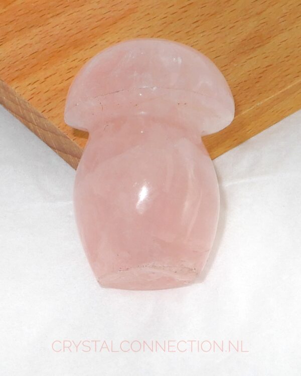 rozekwarts-paddenstoel-no3-9.00 Rozekwarts paddenstoel