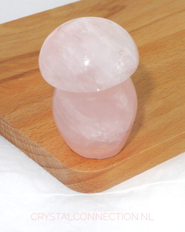 rozekwarts-paddenstoel-no3-staand-9.00 Rozekwarts paddenstoel