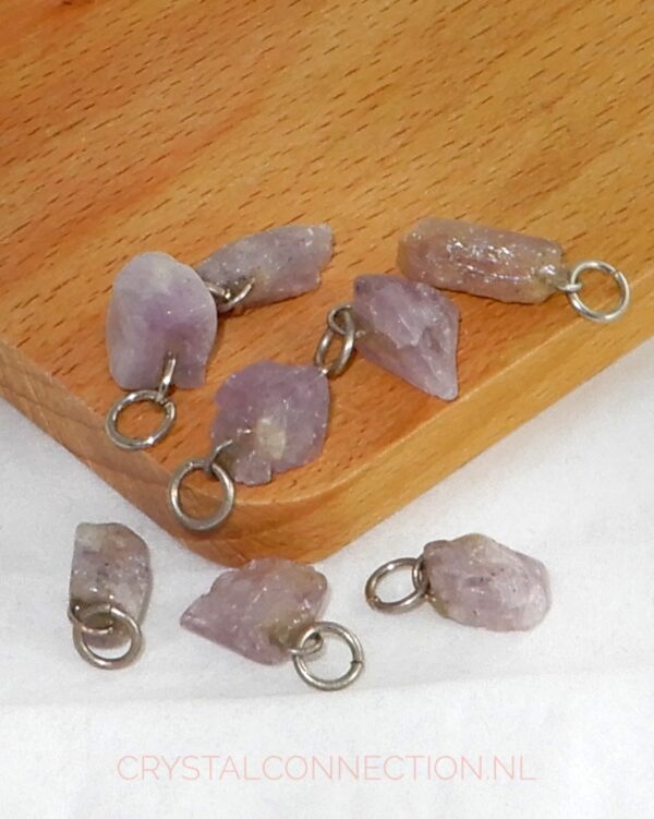 scapoliet-hanger-paars-ruw Scapoliet hanger