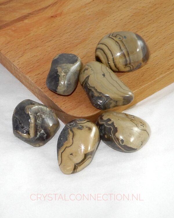 schalenblende-trommelsteen-middel-groot Schalenblende hanger