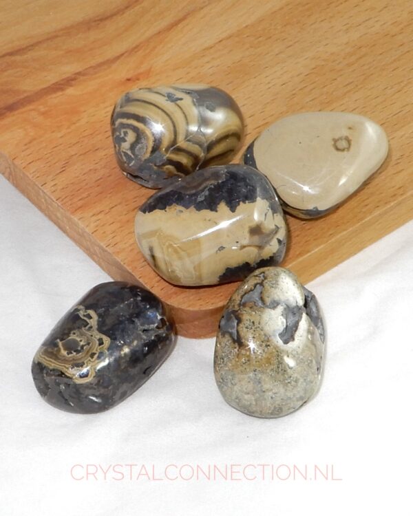 schalenblene-trommelsteen-groot Schalenblende hanger