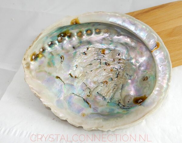 schelp Smudge set salie