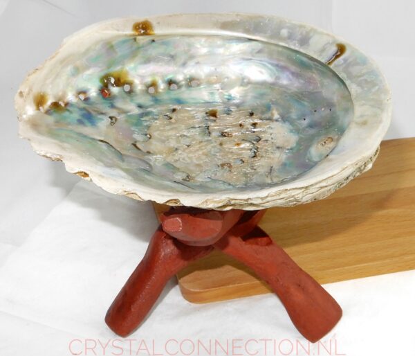 schelp-cobra-standaard Smudge set salie