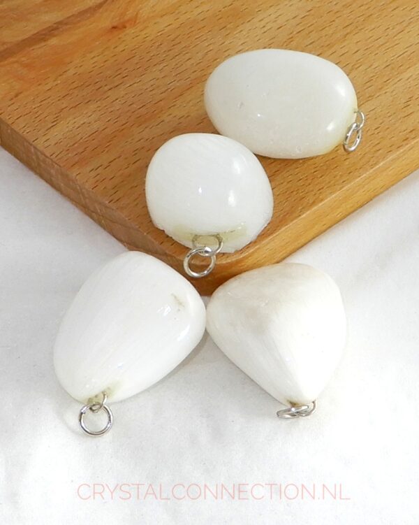 scolesiet-hanger-groot Scoleciet hanger