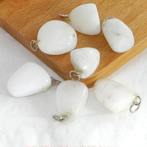 scolesiet-hanger-klein Scoleciet hanger