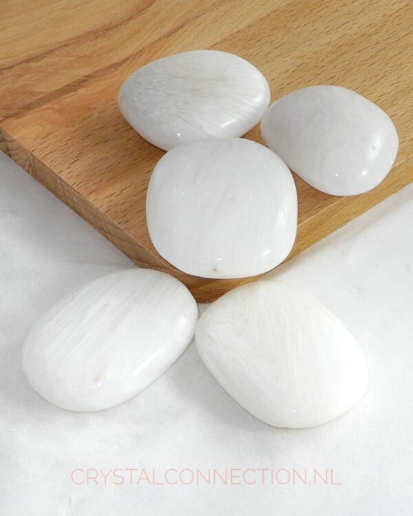 scolesiet-schijfsteen-standaard-10-20g Scoleciet schijfsteen