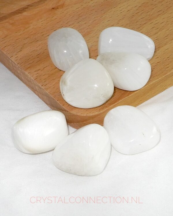 scolesiet-trommelsteen-klein Scoleciet trommelsteen