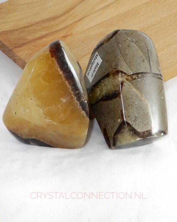 septarien-geslepen-100-120g Septarien geslepen