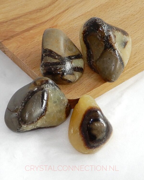 Septarien trommelsteen