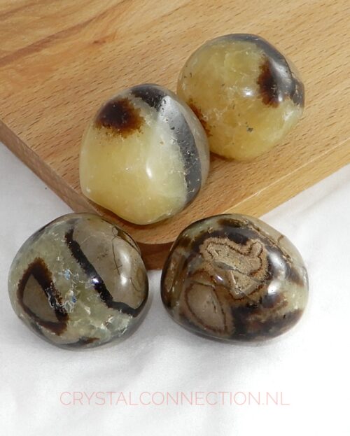 Septarien trommelsteen