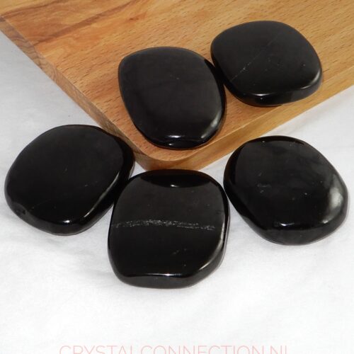 shungiet-schijfsteen-middel Shungiet schijfsteen