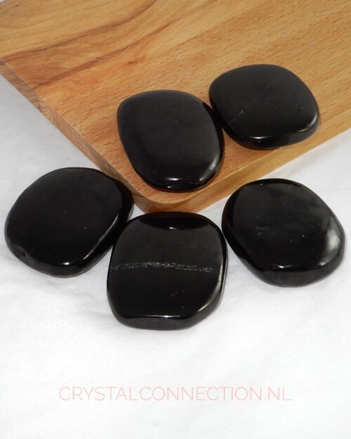 Shungiet schijfsteen