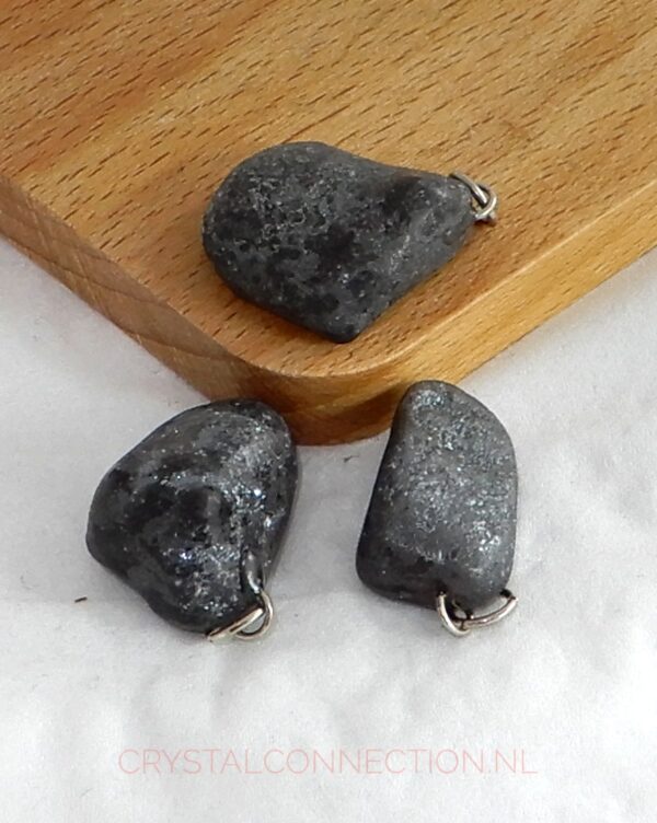 speculariet-hanger Speculariet hanger