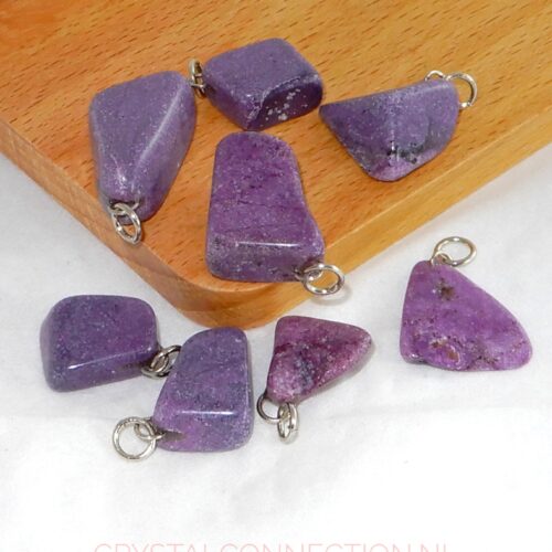 stichtiet-hanger Stichtiet hanger