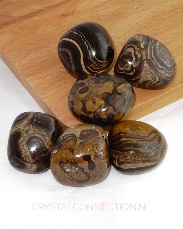 Stromatoliet trommelsteen