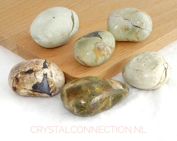 thunderegg-10-20g Shungiet zorgensteen