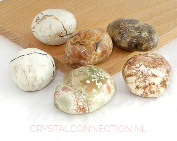 thunderegg-20-30g Shungiet zorgensteen