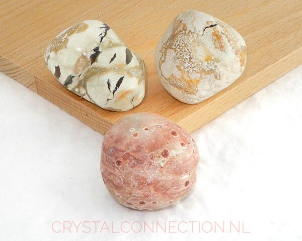 thunderegg-30-40g Shungiet zorgensteen