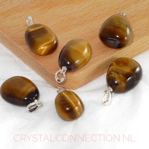 tijgeroog-hanger-zilv-oogje Tijgeroog hanger