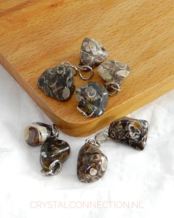 turtilla-agaat-hanger-klein Agaat Turtilla hanger