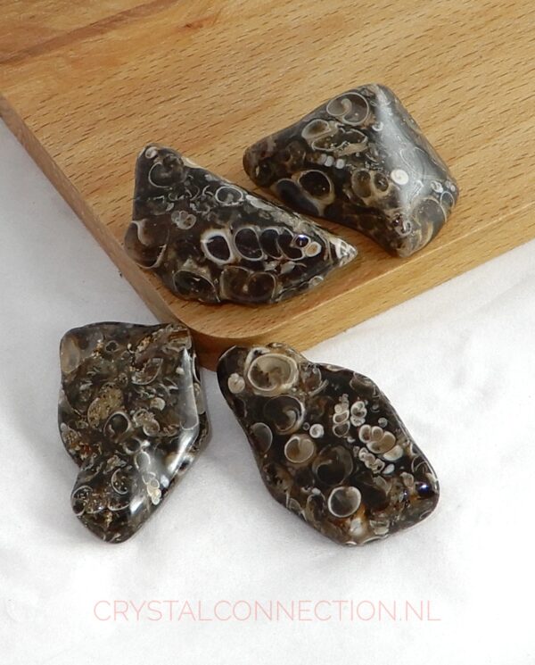 turtilla-agaat-trommelsteen-groot Agaat turtilla trommelsteen