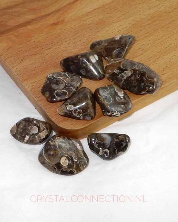 turtilla-agaat-trommelsteen-klein Agaat turtilla trommelsteen