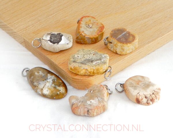 versteend-hout-hanger-groot Versteend hout hanger