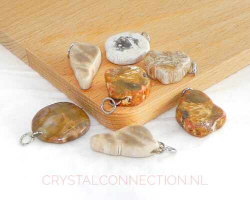 Versteend hout hanger