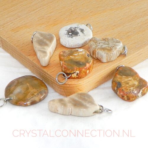 versteend-hout-hanger-klein Versteend hout hanger